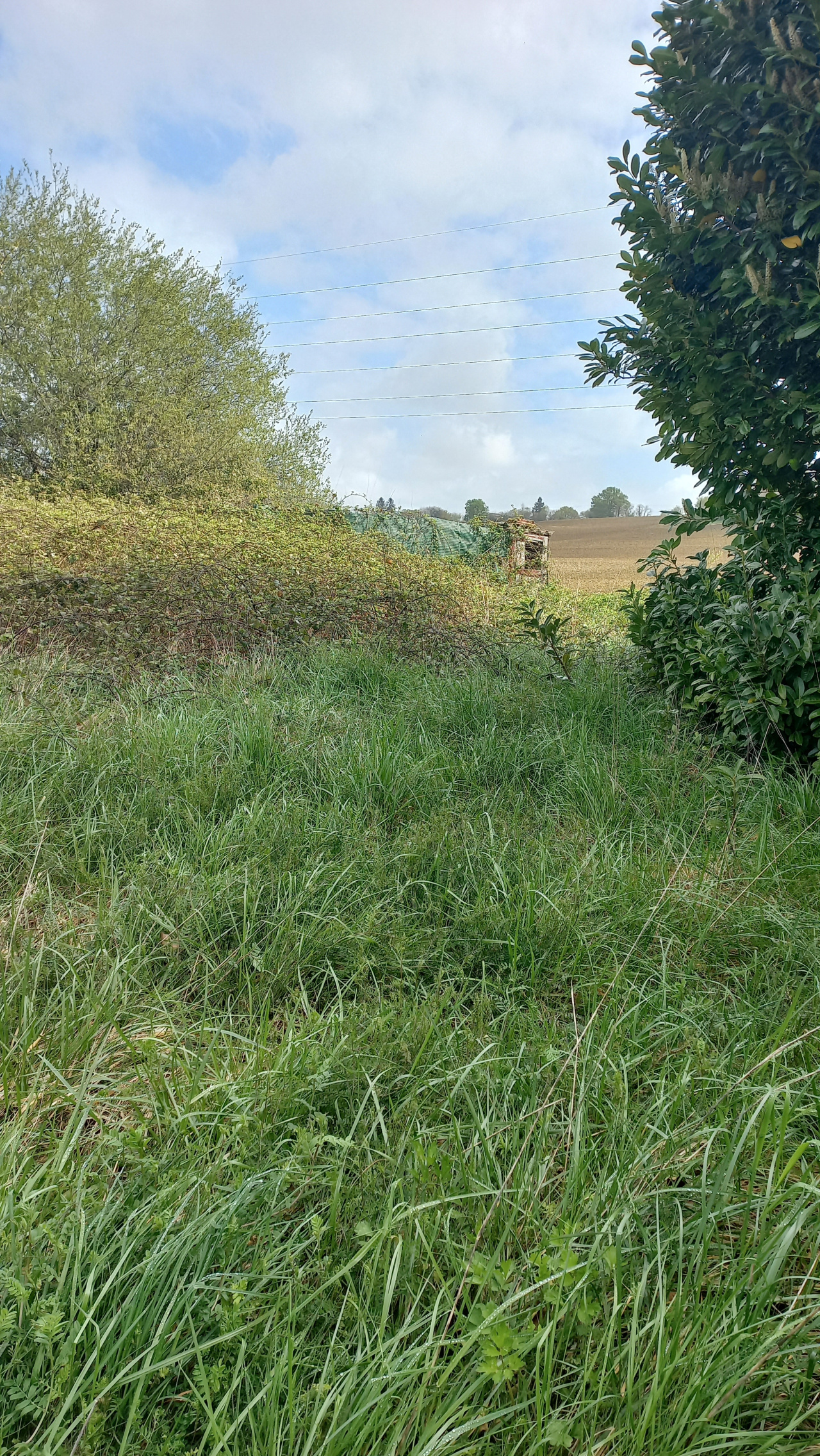 Image_3, Maison, Aïcirits-Camou-Suhast, ref :1248