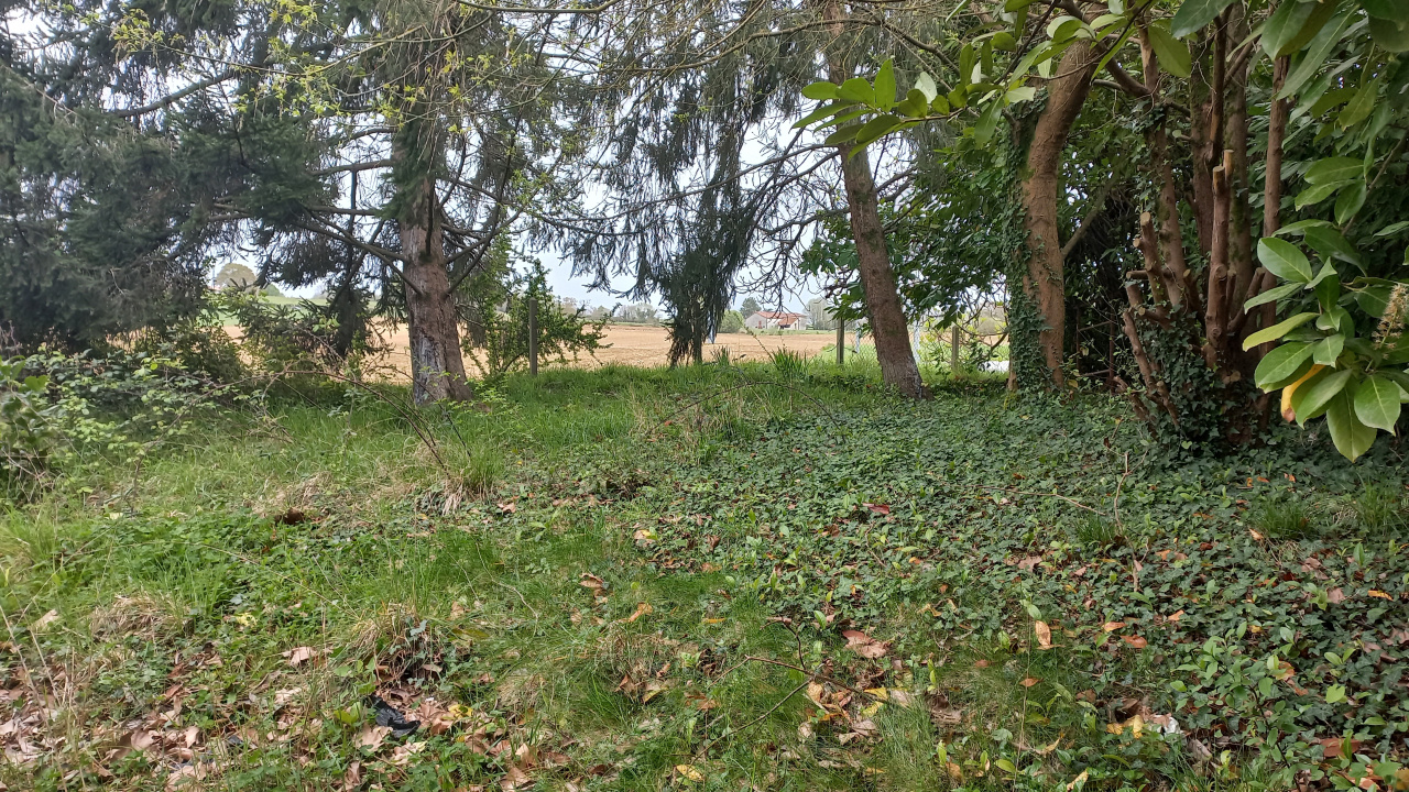 Image_2, Maison, Aïcirits-Camou-Suhast, ref :1248