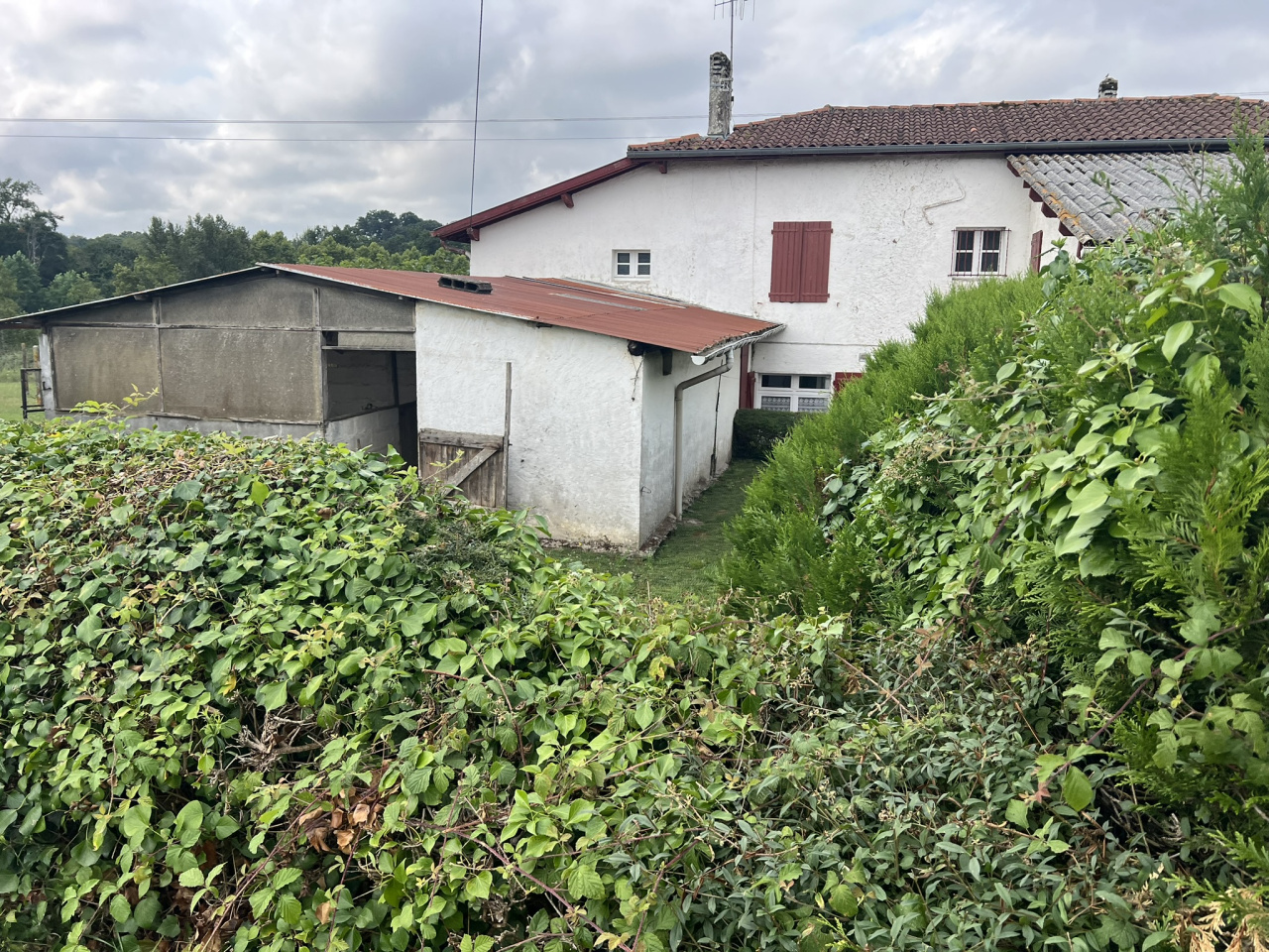 Image_10, Maison, Domezain-Berraute, ref :1254