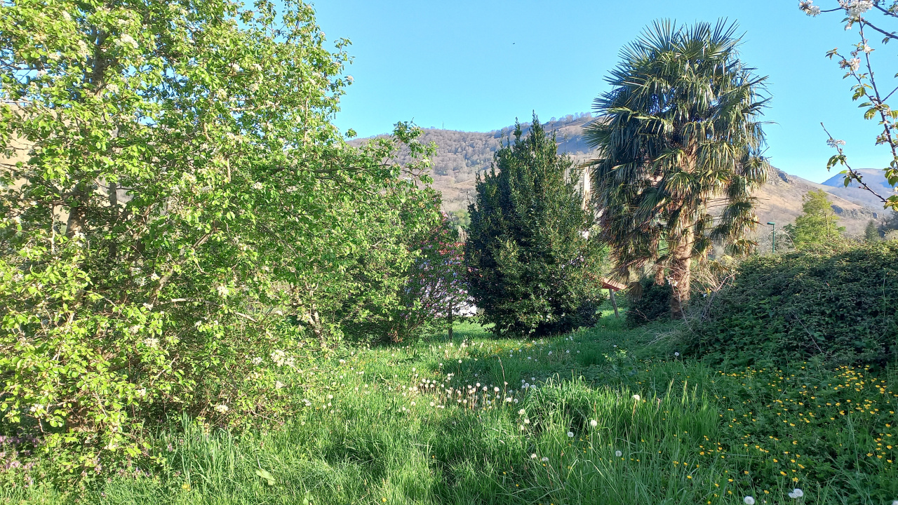 Image_12, Maison, Saint-Just-Ibarre, ref :