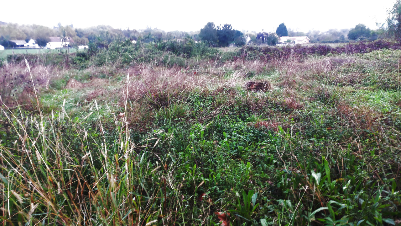 Image_2, Propriete, Barraute-Camu, ref :1259