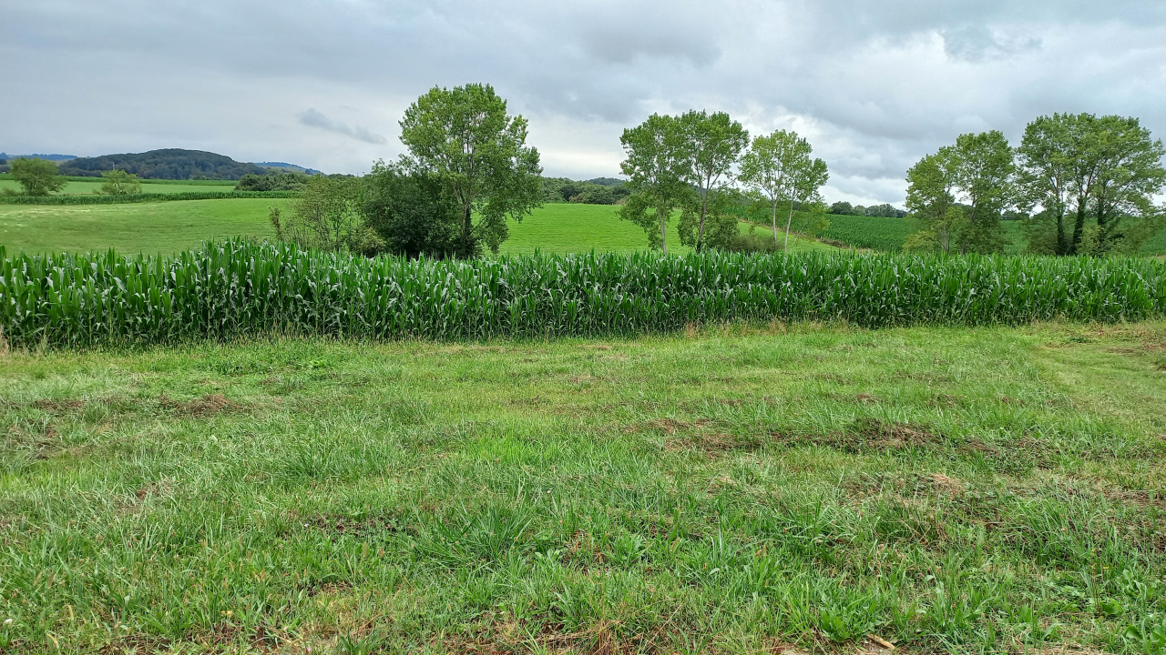 Image_1, Terrain à batir, Aroue ithorrots olhaiby, ref :1186