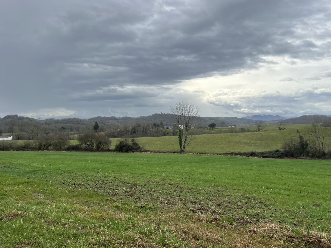 Image_3, Terrain à batir, Aroue ithorrots olhaiby, ref :7000