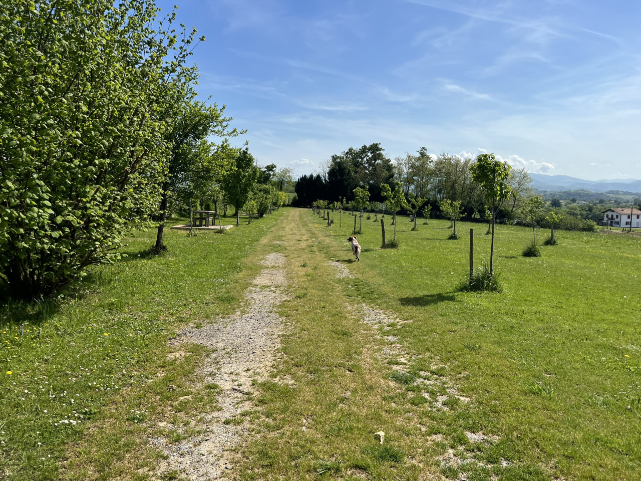 Image_4, Ferme, Saint-Palais, ref :1249