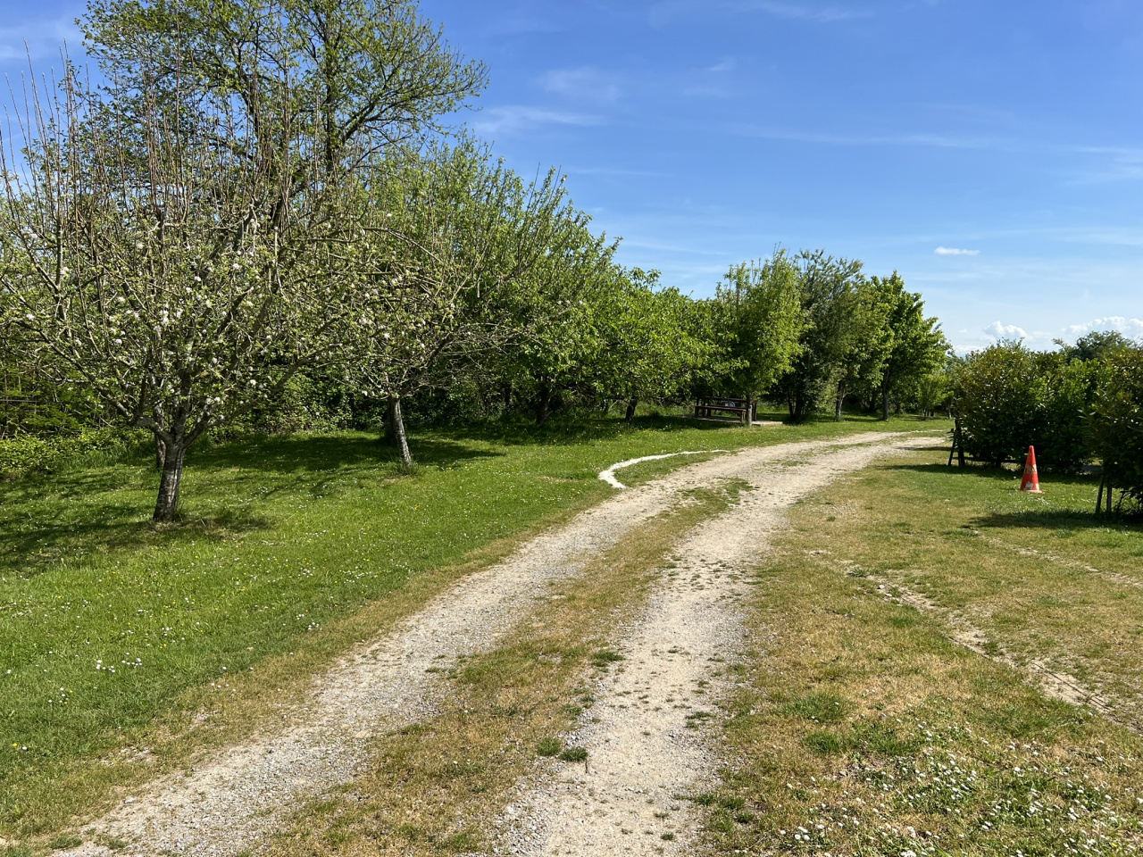 Image_5, Ferme, Saint-Palais, ref :1249