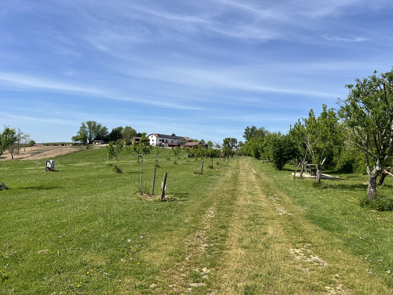 Image_6, Ferme, Saint-Palais, ref :1249