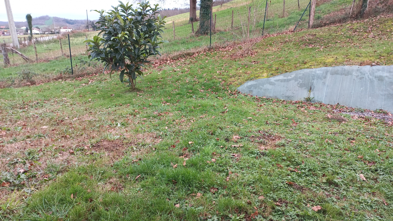 Image_6, Maison, Saint-Palais, ref :900