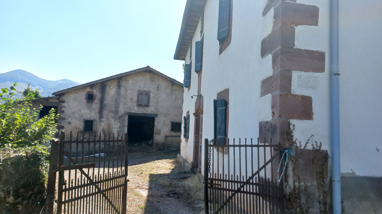 Image_2, Maison, Hosta, ref :1256