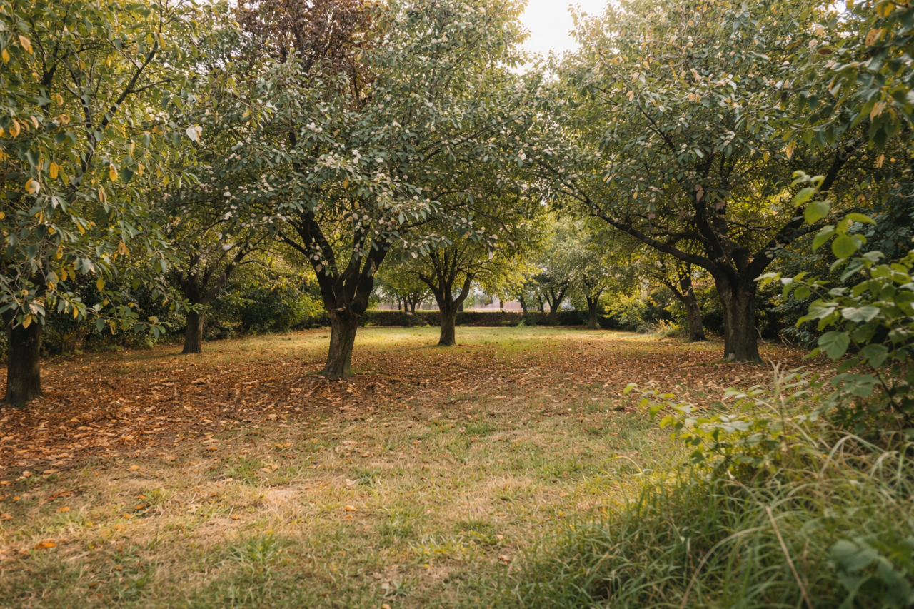 Image_3, Maison, Aïcirits-Camou-Suhast, ref :1239