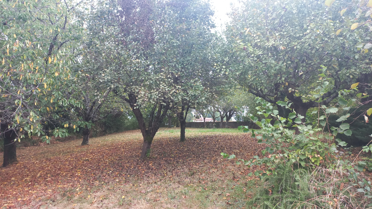 Image_2, Maison, Aïcirits-Camou-Suhast, ref :1239