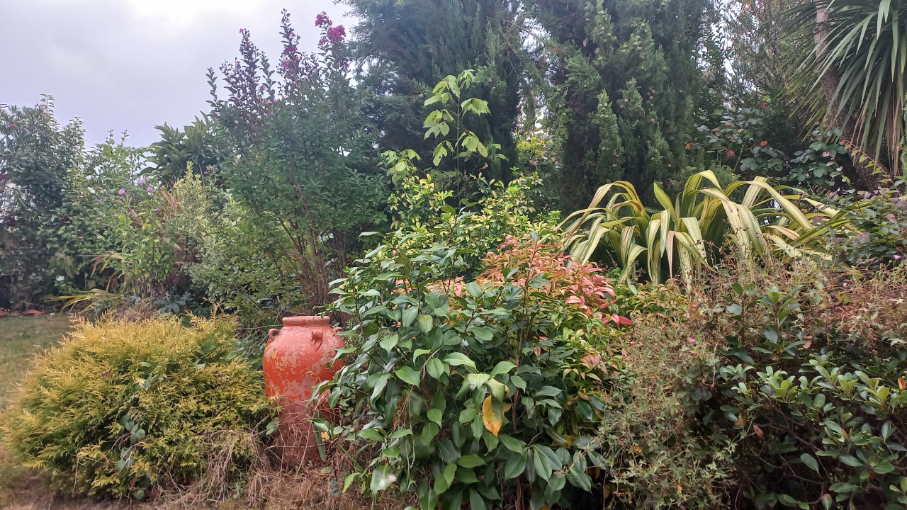 Image_5, Maison, Aïcirits-Camou-Suhast, ref :1239