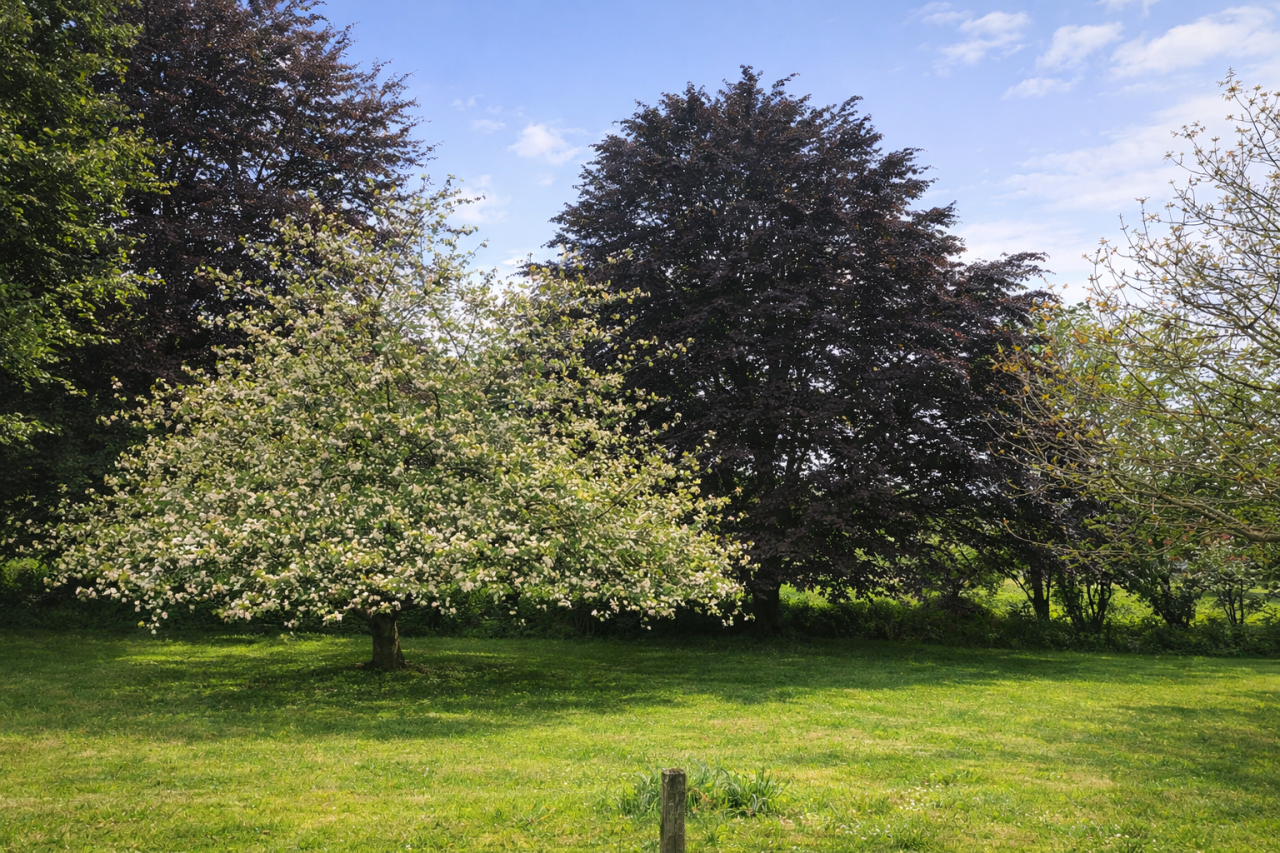 Image_5, Maison, Larceveau-Arros-Cibits, ref :1243