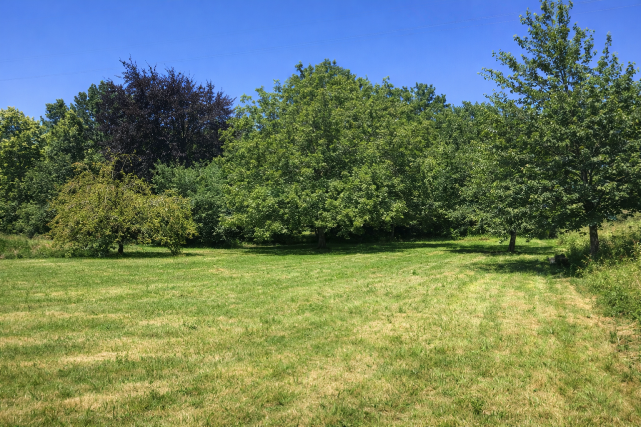 Image_6, Maison, Larceveau-Arros-Cibits, ref :1243