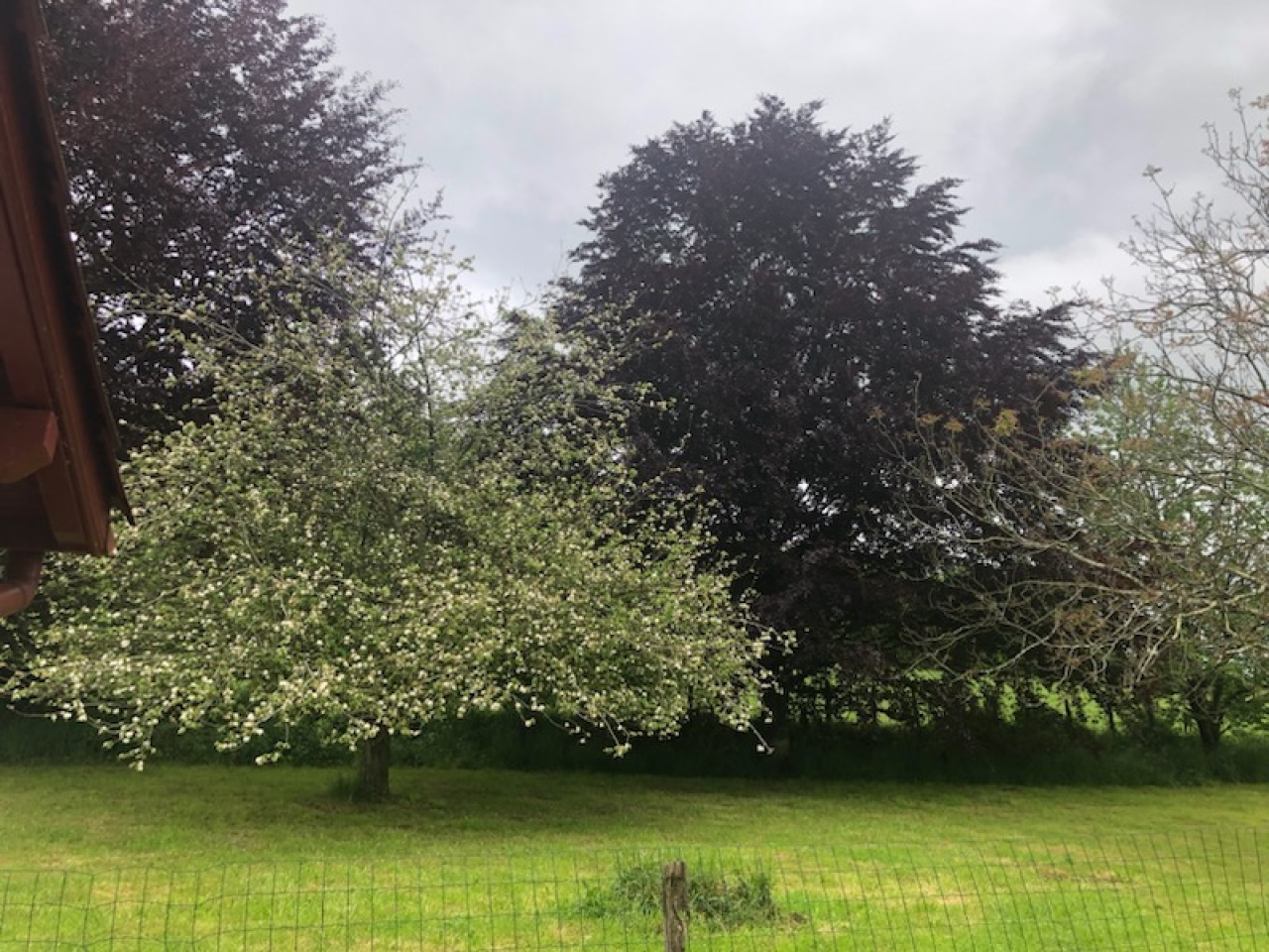 Image_3, Maison, Larceveau-Arros-Cibits, ref :1243