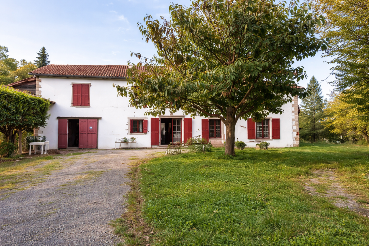 Image_9, Propriete, Saint-Palais, ref :1224